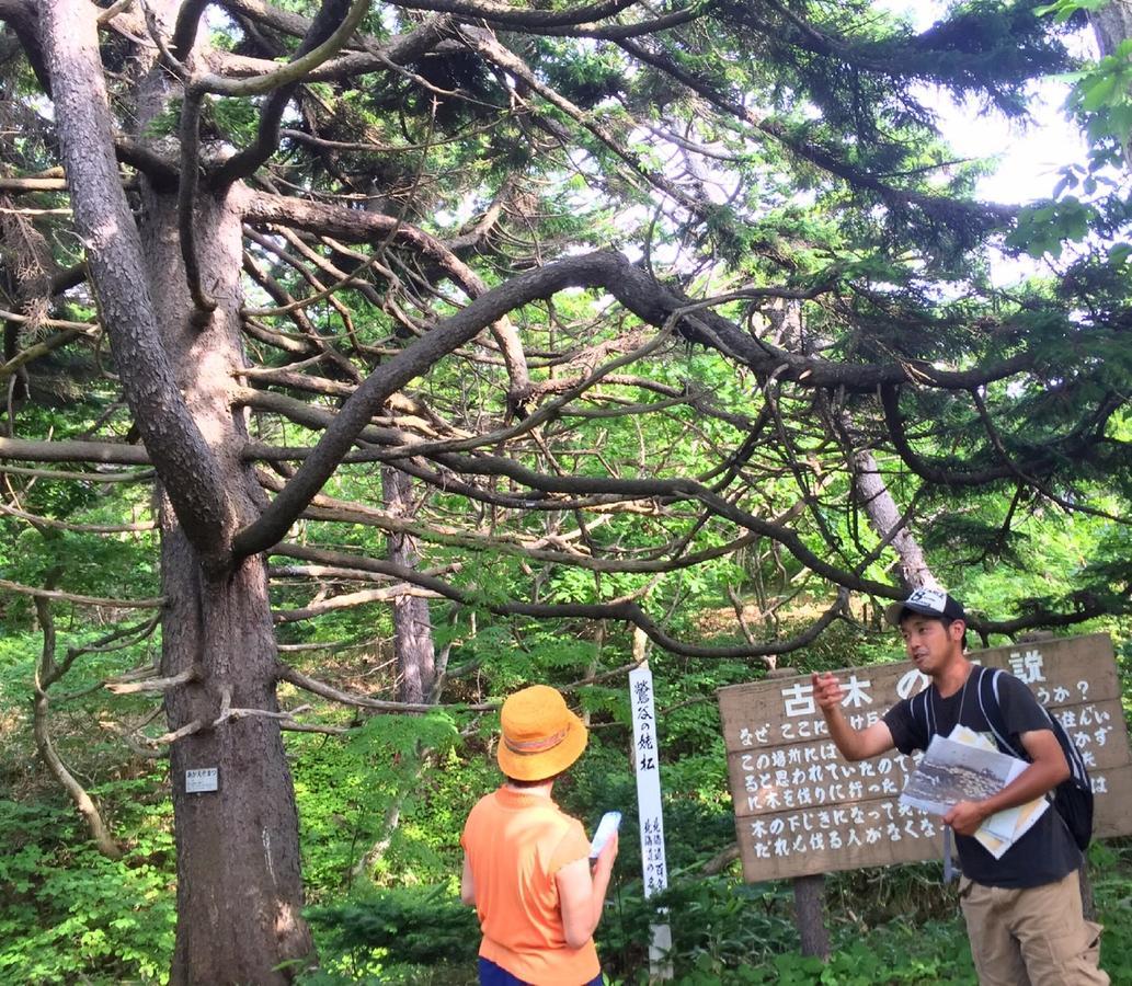 Yagishiri Guest House Yasundeke Haboro ภายนอก รูปภาพ